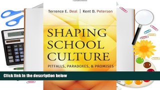 Download Shaping School Culture: Pitfalls, Paradoxes, and Promises For Ipad
