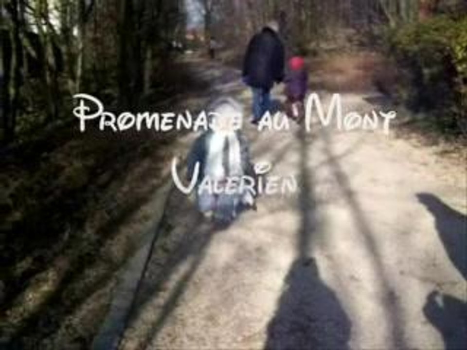 PONEY