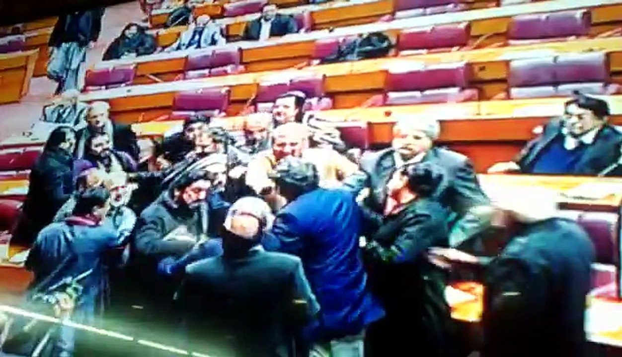 Fight in Parliament