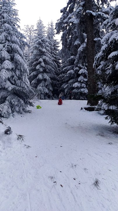 07.01.2017 descente de luge Tom