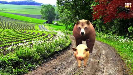 Carzy Gorilla Finger Family Nursery Rhymes Song For Kids Collection