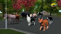 Learn colors Gorilla V/s Horse Racing | 3D Animals Rhymes For Childrens