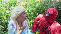 Frozen Elsa Loses Her Dress! w/ Spiderman & Pink Spidergirl, Batman, Maleficent :) Ep. 72