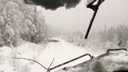 Train plows through trees after snow storm