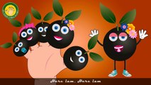 Fruits Finger Family | Jabuticaba Finger Family Nursery Rhymes | Funny Fruits Songs