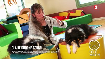 Faune - Insolite : une crèche, des enfants et des chiens !