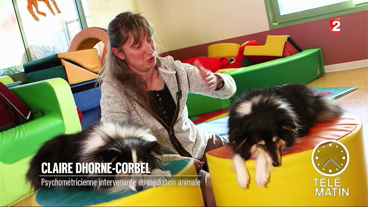 Faune - Insolite : une crèche, des enfants et des chiens !