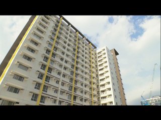 New Beginnings for Joee and Joey