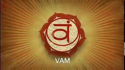 MC Yogi - Chakra Beatbox