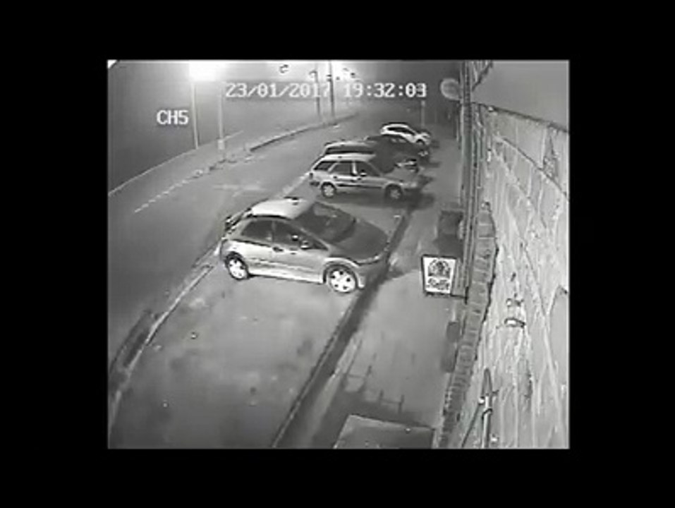 Faisan: accident