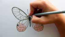 Drawing a light brown Butterfly with colored pencils and copic markers | Emmy Kalia