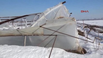 Konya'da Kardan Yıkılan Seralarda Büyük Zarar