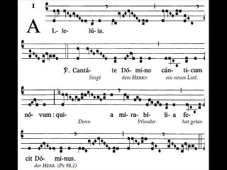 Alleluia Cantate Domino canticum, Dominica VI TpA (6 TO)