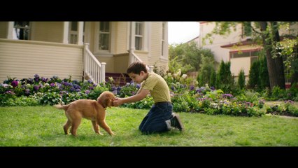 A Dog's Purpose - Bailey Learns His Place