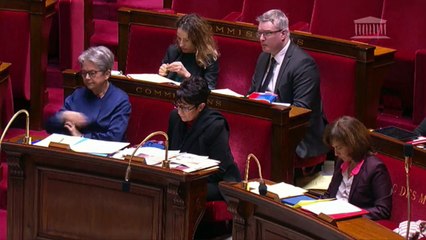 Marion Maréchal Le Pen sur l'IVG : "Je suis un accident qui se vit bien"