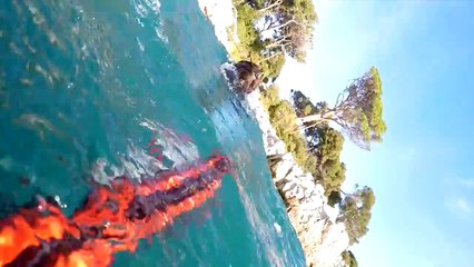 Un plongeur se fait attaquer par un Rottweiler sous l'eau...