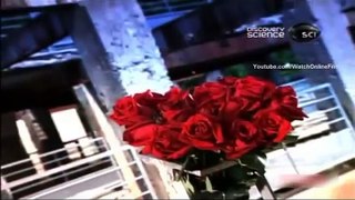 Roses - कैसे होती है गुलाबों की खेती