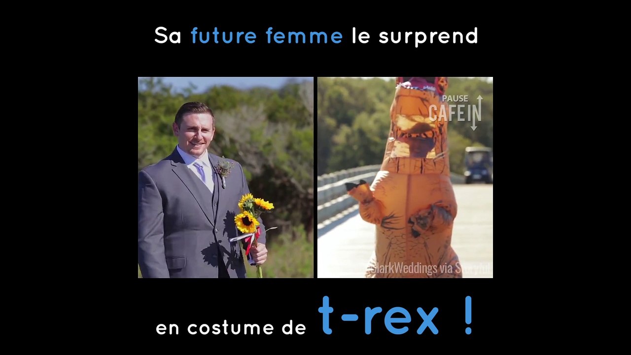 Elle s'habille en t-rex à son mariage