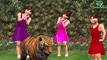 Gorilla Vs Tiger Nursery Rhymes Collection || 3d Animated Song For Children 3D Nursery Rhymes