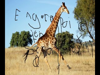 QUEM SERA O MEU PAI?