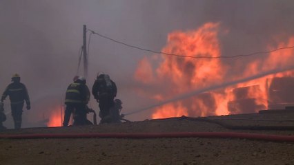 Le Chili ravagé par les feux de forêt