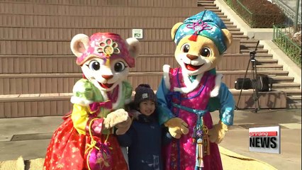 Events organized across Korea for Lunar New Year's