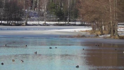 Jan 27 2017 F6