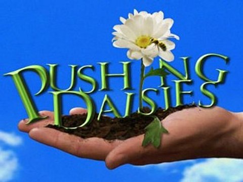 Pushing Daisies - Saison 2 Promo #1