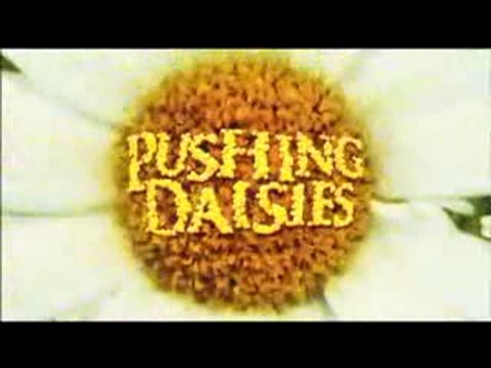 Pushing Daisies - Saison 2 Promo #3 Comic Con