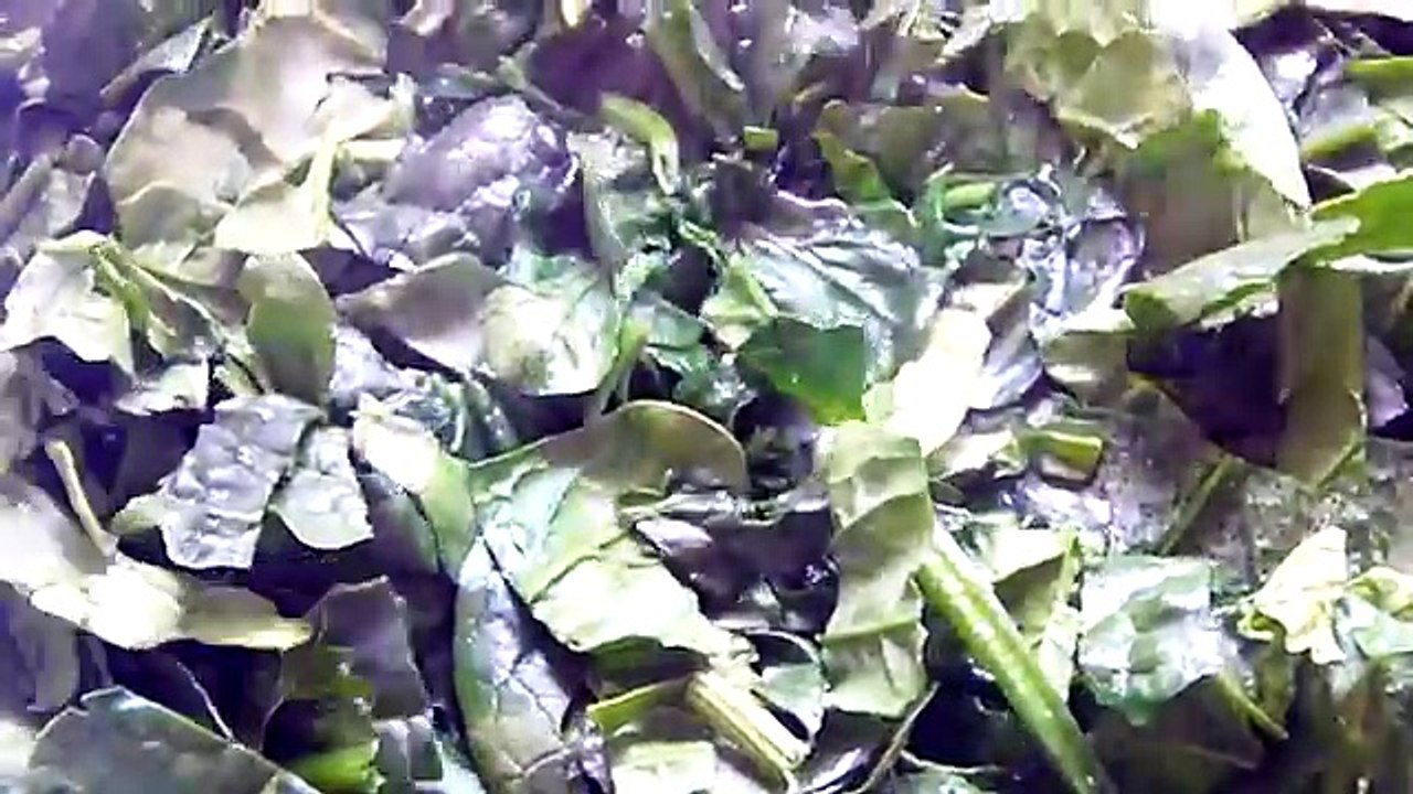 Lasagnes saumon-épinards - simple et rapide