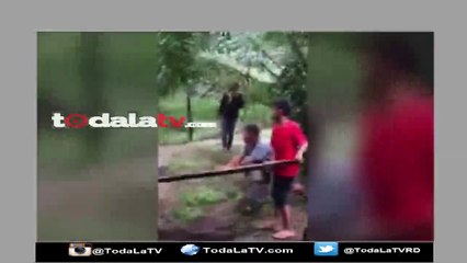 Capturan una pitón monstruosa que se tragó dos cabras-Video