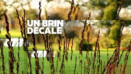 Bande-annonce - Silence, ça pousse !