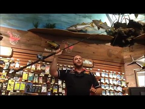 Guide to Heavy Tackle Fishing | Tampa FL Deep Sea Fishing Trips Hubbard's Marina