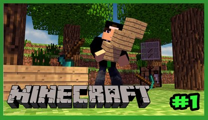 Minecraft Survival #1: Primeira Casa !!!