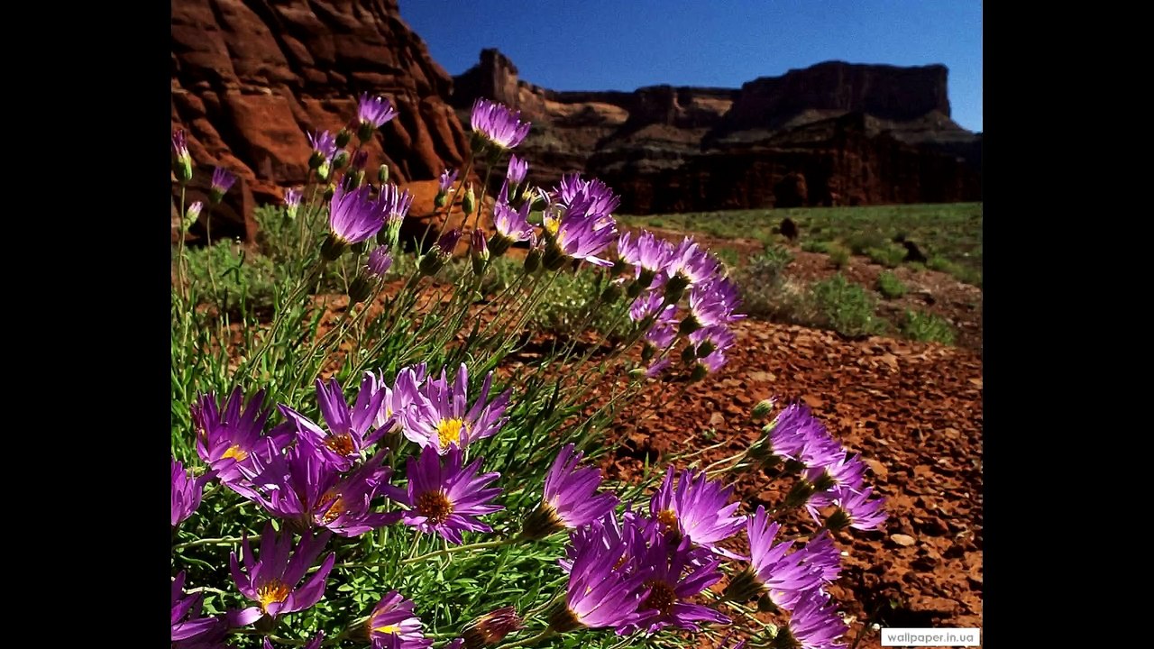 Beautiful mountains with snowed peaks and impressive landscapes