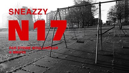 Sneazzy - N17
