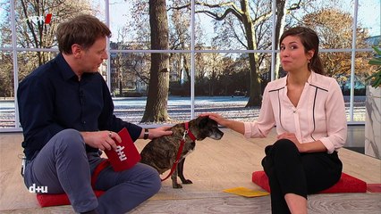 Laura Rohrbeck - WDR daheim + unterwegs 03.01.2017