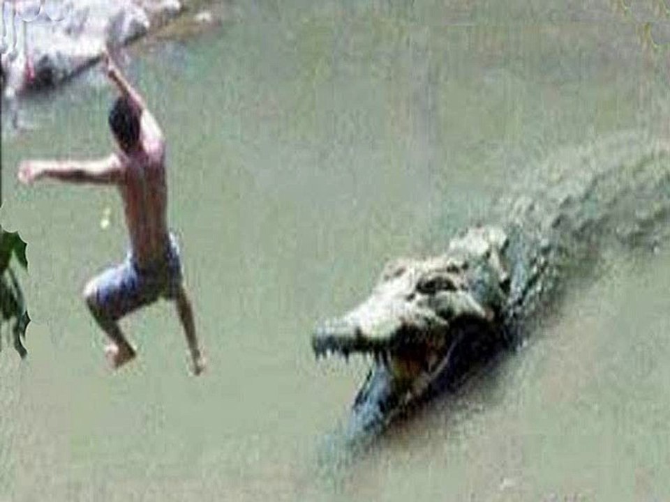 Nyata!! Manusia ini Termakan buaya di sungai