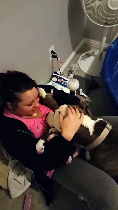 Elle sauve cette chienne en train de mettre bas, puis reçoit un cadeau incroyable ! (1)