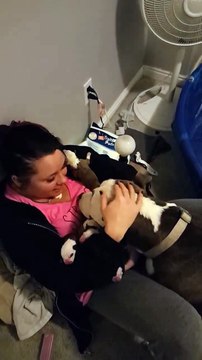 Elle sauve cette chienne en train de mettre bas, puis reçoit un cadeau incroyable ! (1)