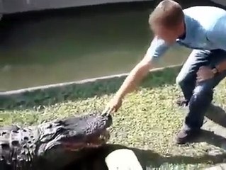 Il s'amuse avec un crocodile mais va le regretter