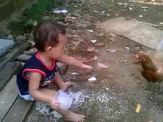 NUSA NARENDRA SOMANTRI; Ternak Ayam Kampung "Bermain Bersama Ayam"