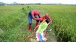 TWIN Человек-паук едет на велосипеде, плавательный бассейн Человек-паук! ж / Summertime супергерой в реальной жизни