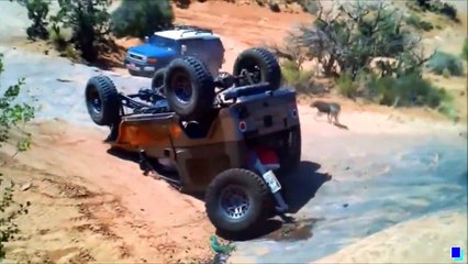 ЛУЧШАЯ ОТБОРКА COUB за неделю! Февраль 2016 (#2)