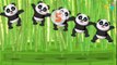 Пять маленьких панд прыгать на кровати | мультфильм анимация потешки песни для детей