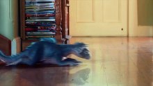 MY PET DINOSAUR 2017 ONLINE SUBTITRAT