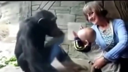 Приколы с животными подборка №32