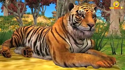 Top 50 Hit Songs | 30+ Mins | Popular Collection Of Animated English Nursery Rhymes in HD For Kids