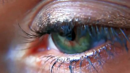 Никто из нас не виноват