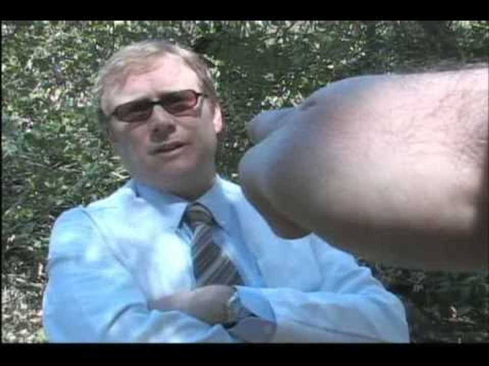 The Back Room: #3 - Hitler Arm